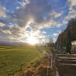 Waldcafe Sonnenuntergang