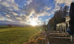 Waldcafe Sonnenuntergang